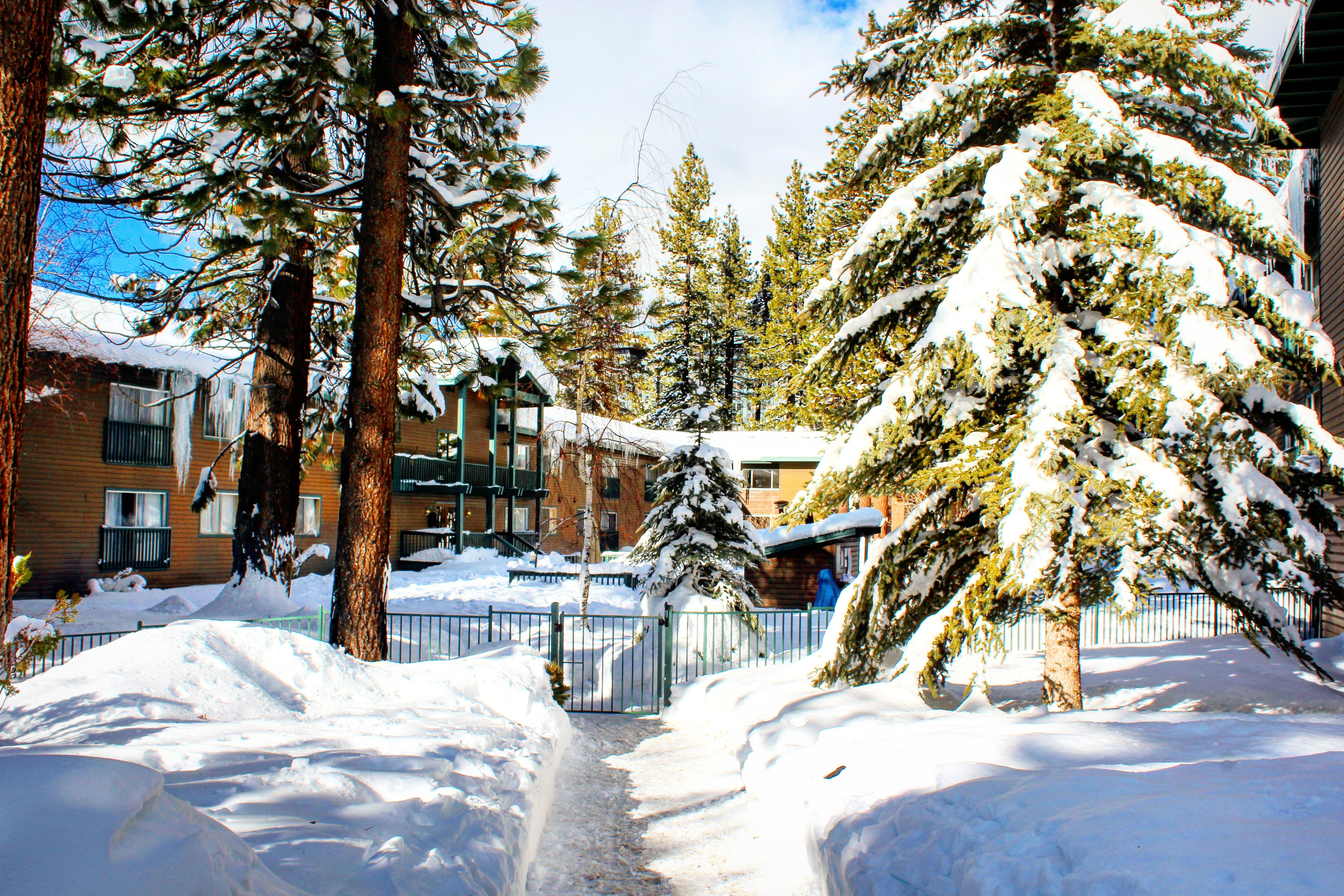 Forest Suites Resort At The Heavenly Village South Lake Tahoe Luaran gambar